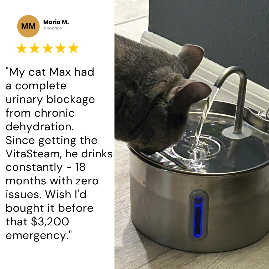 VItaStream Stainless Steel Water Fountain