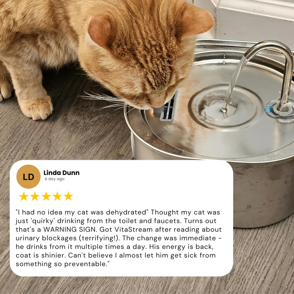 VItaStream Stainless Steel Water Fountain