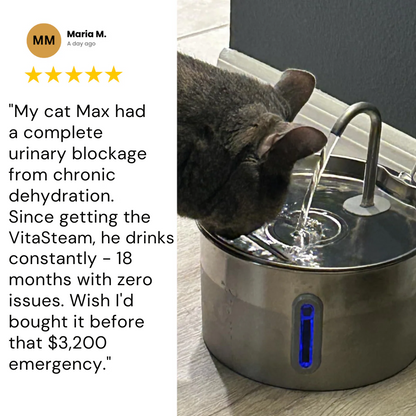 VItaStream Stainless Steel Water Fountain