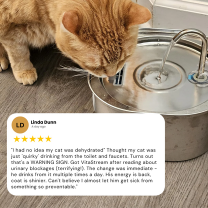 VItaStream Stainless Steel Water Fountain
